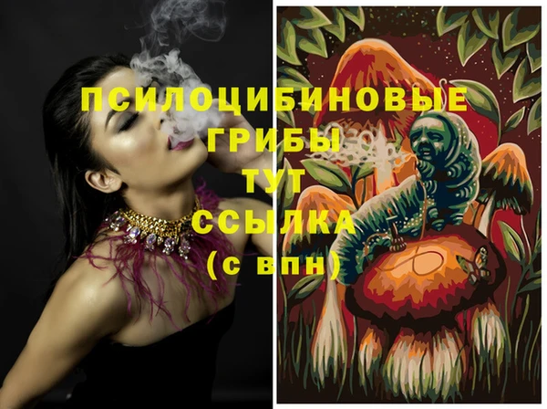 соль курить ск Алзамай