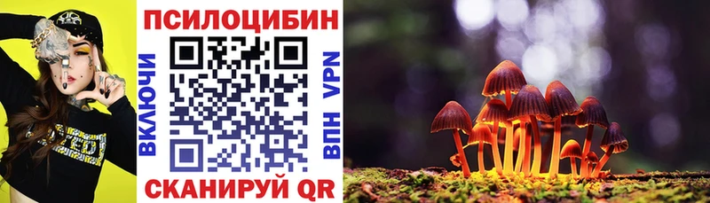 мориарти клад  Ардатов  Псилоцибиновые грибы GOLDEN TEACHER 